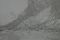 Wilhelm bulkhead south